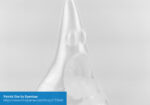 PrimaCreator----EasyPrint-FLEX-95A-1-75mm-1-kg-Transparent-PC-ETPU95-175-1000-TN-24158_4
