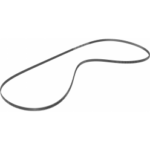 31127517-origpic-d3f419-0