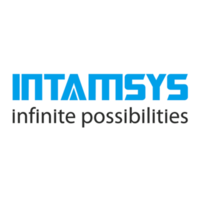 intamsys